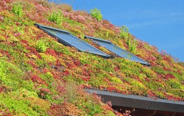 Shroton Or Iwerne Courtney living roof systems