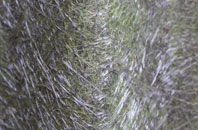 Shroton Or Iwerne Courtney fibreglass roof work